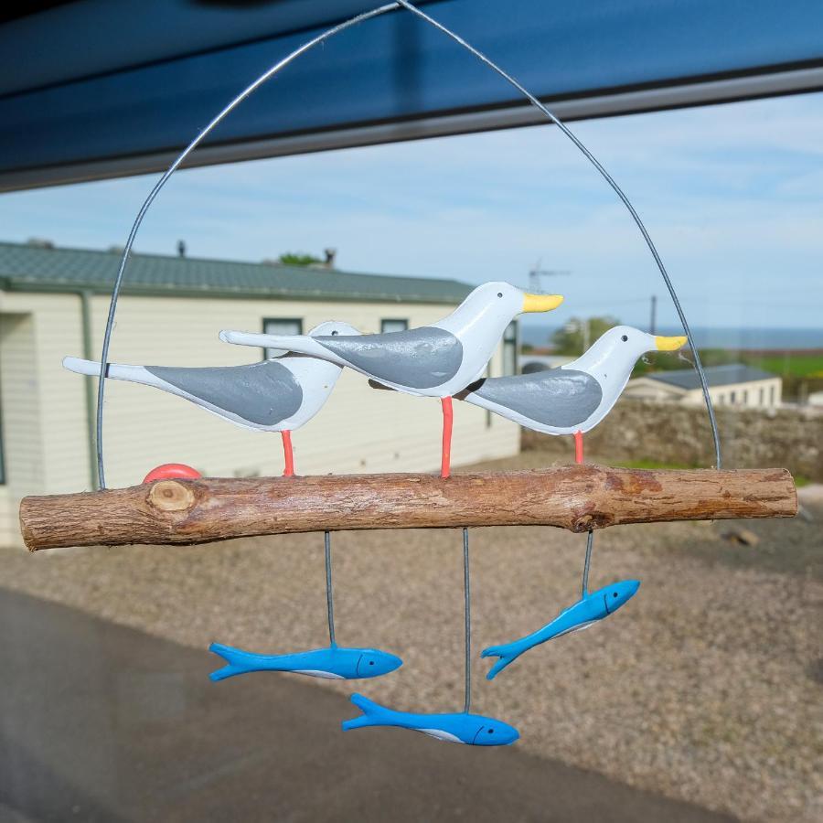 Kittiwake Leilighet Saint Cyrus Eksteriør bilde